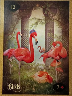 Image of Lenormand of Enchantment Deck - bird card.